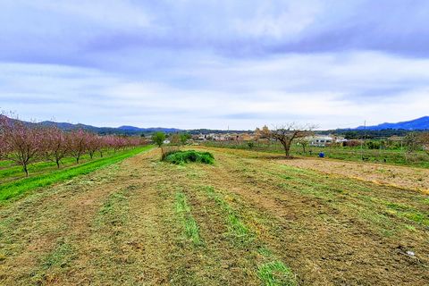 Finca a Ginestar, Tarragona, Ginestar - € 28.000 | Ref: CC839 - foto 10